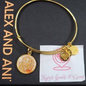 Alex and Ani path of Life charm bracelet
